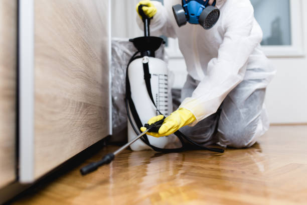 Best Wildlife Control Services  in Ferndale, WA