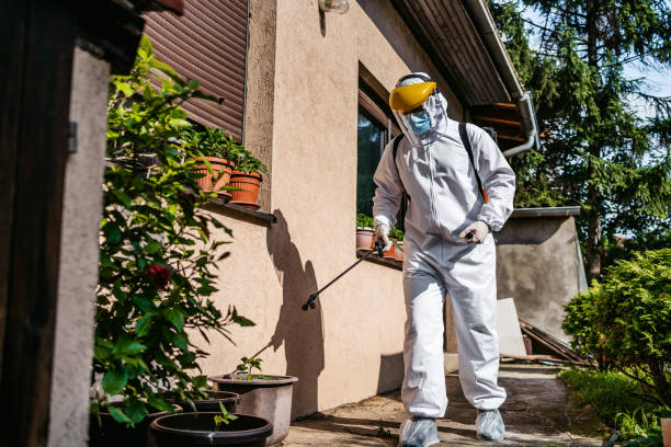 Best Affordable Pest Control Services  in Ferndale, WA
