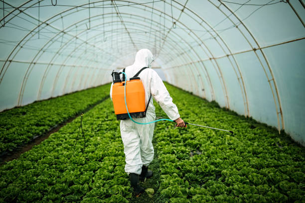 Best Affordable Pest Control Services  in Ferndale, WA