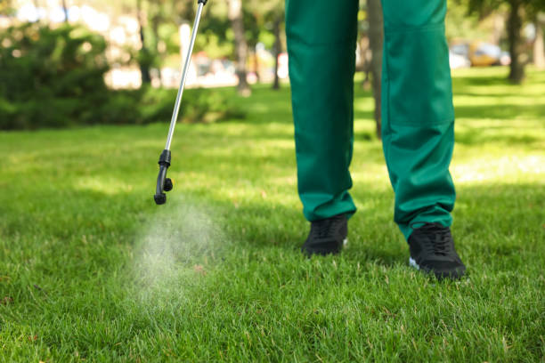 Best Mosquito Control Services  in Ferndale, WA