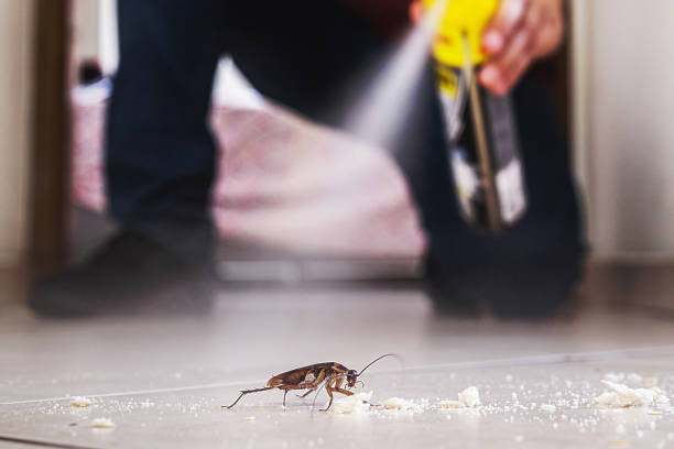 Best Affordable Pest Control Services  in Ferndale, WA