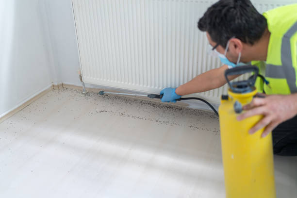 Best Ant Control Services  in Ferndale, WA
